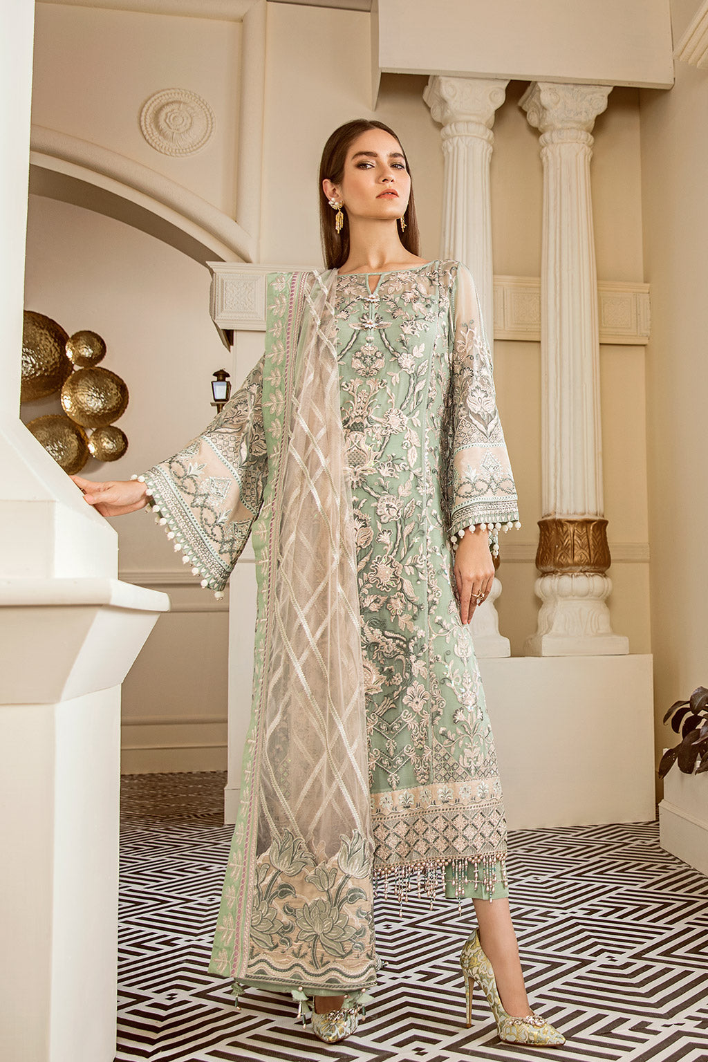 Elegant Embroidered Net CH06-05 Outfit with Detailed Sleeves and Borders.
