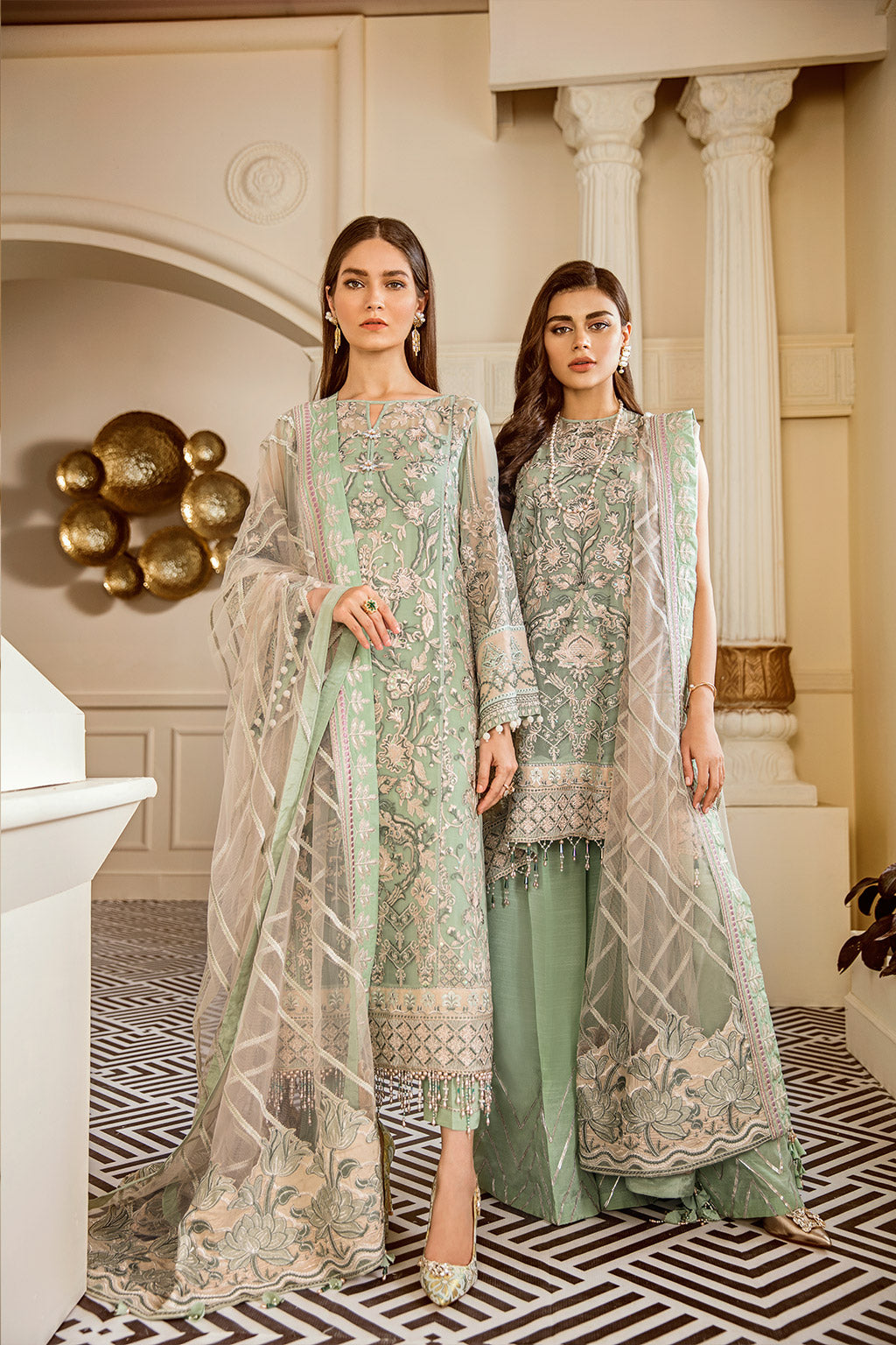 Elegant Embroidered Net CH06-05 Outfit with Detailed Sleeves and Borders.
