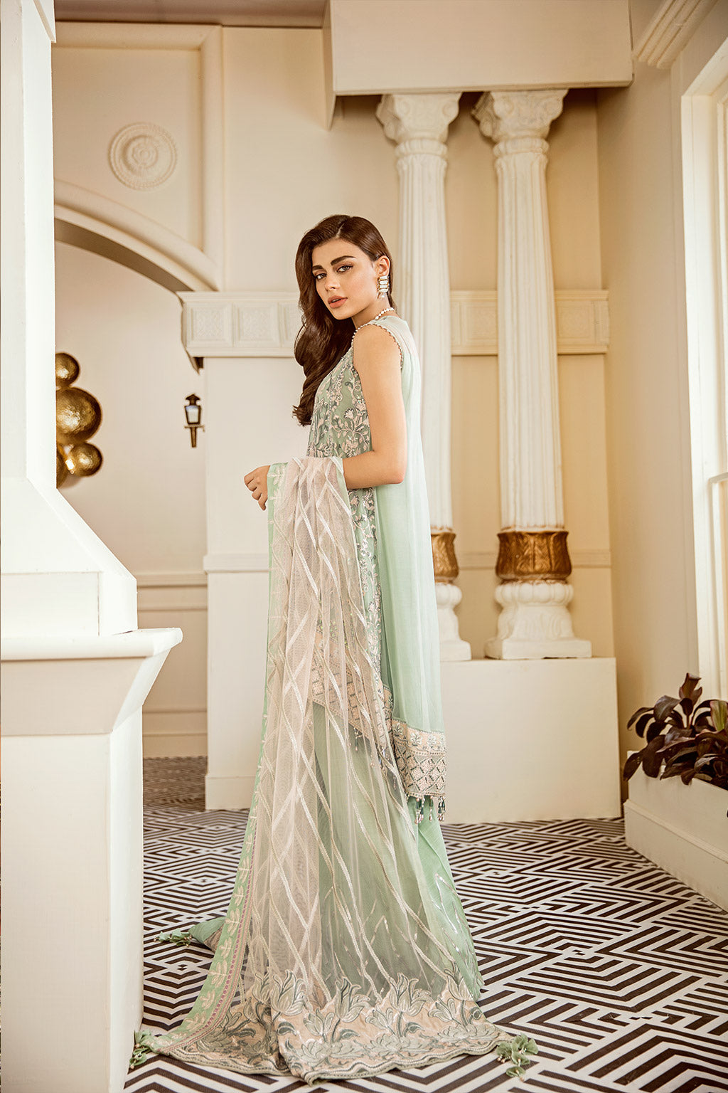 Elegant Embroidered Net CH06-05 Outfit with Detailed Sleeves and Borders.
