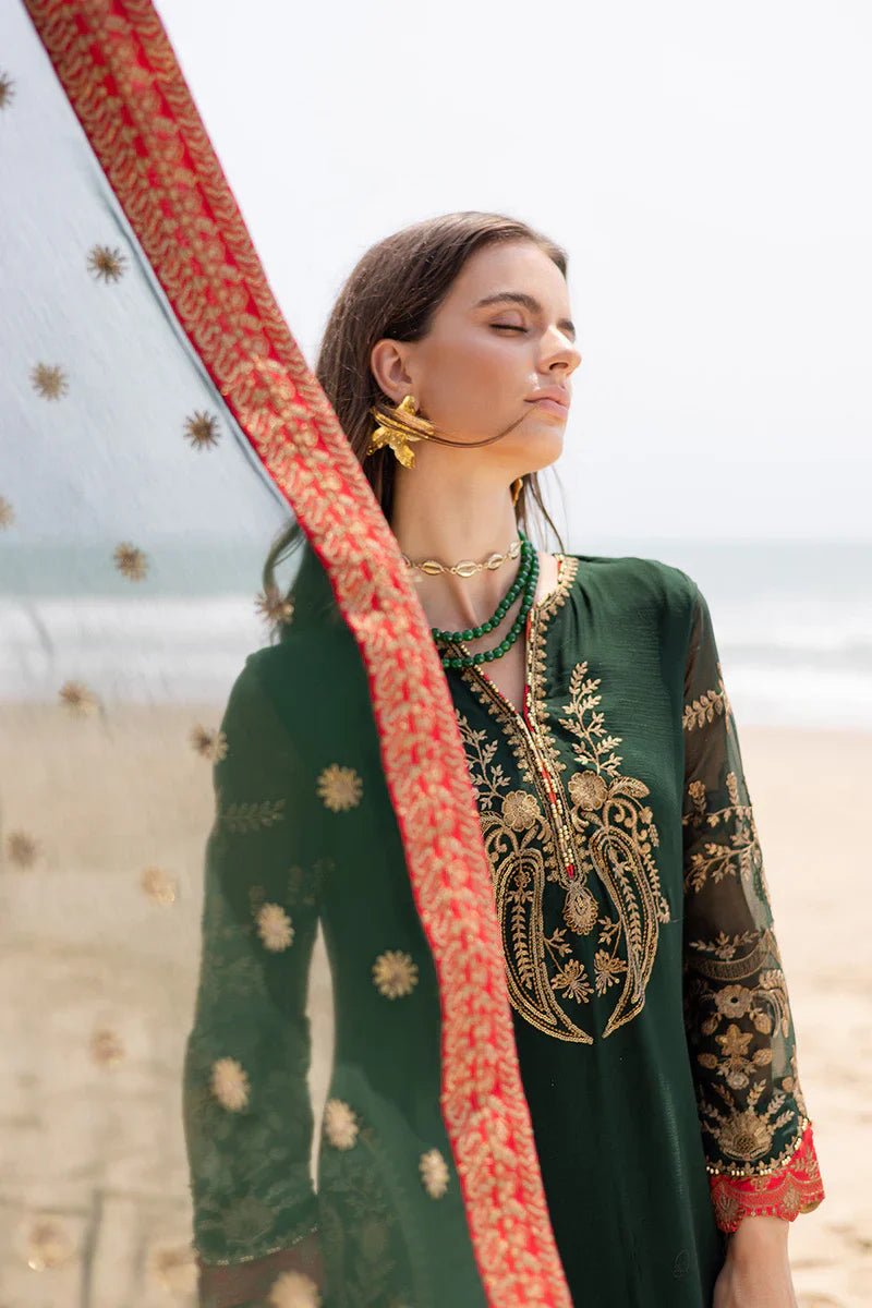 3 Piece Embroirdered Chiffon Aarna - FW40058 - NEW NAMAL PRET