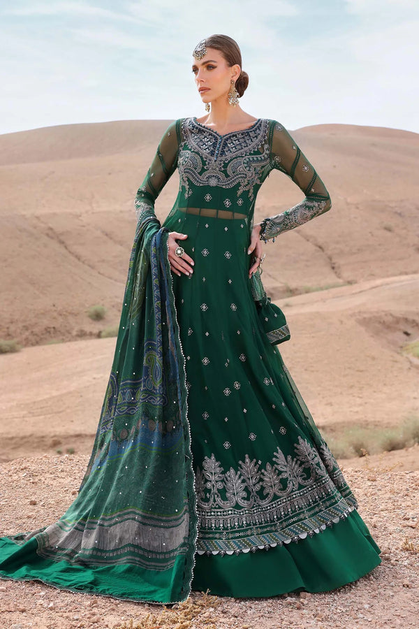 3 Piece stitched Embroidered Net Suit | D-2507-A