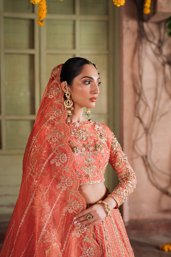 AABIRAH - NEW NAMAL PRET