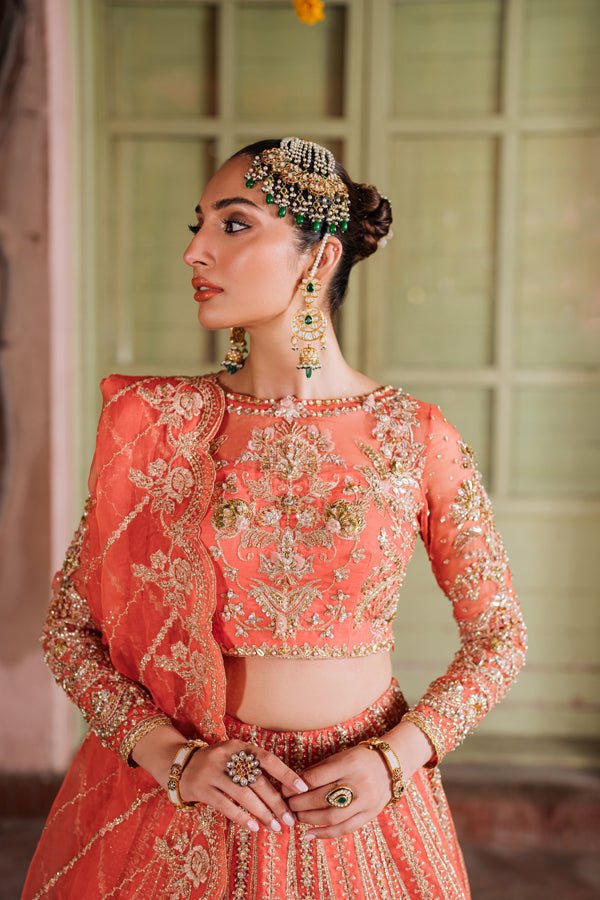 AABIRAH - NEW NAMAL PRET
