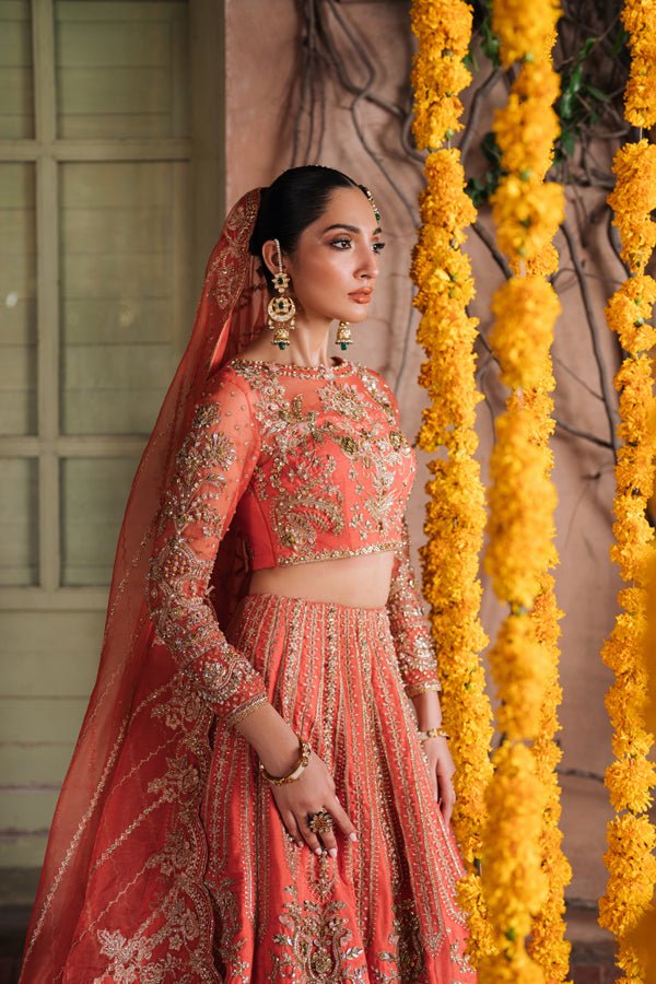 AABIRAH - NEW NAMAL PRET