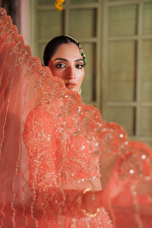 AABIRAH - NEW NAMAL PRET