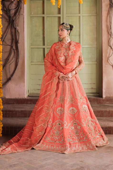 AABIRAH - NEW NAMAL PRET