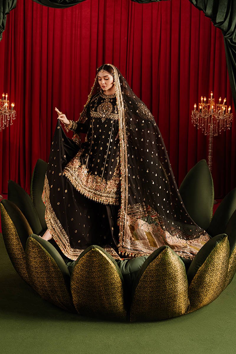 Afreen - NEW NAMAL PRET