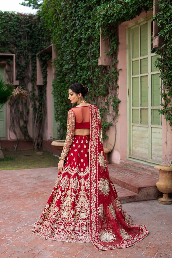ANARKALI - NEW NAMAL PRET