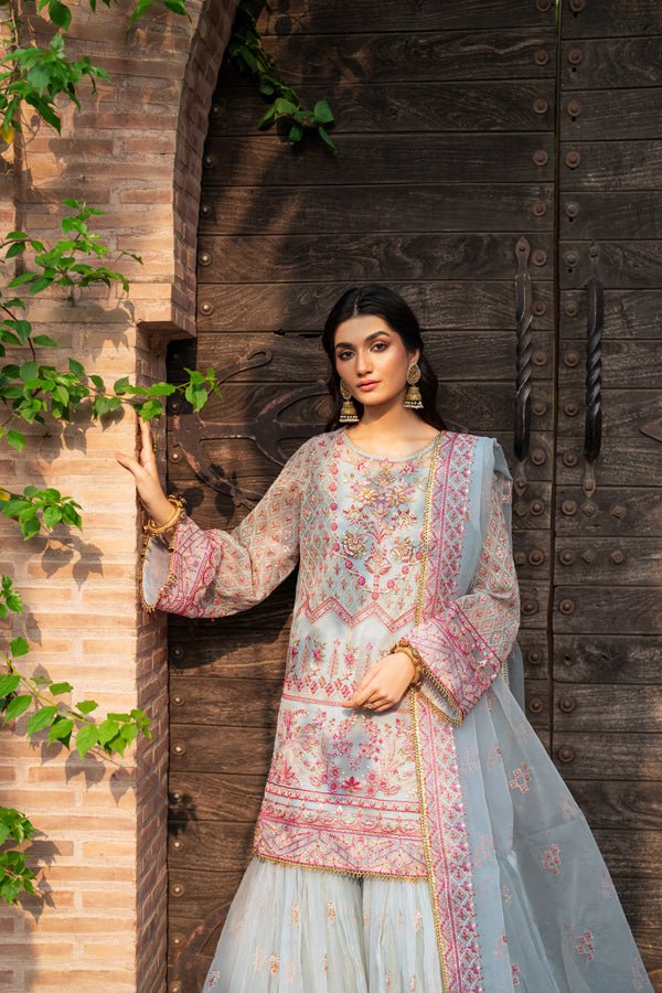 ANMOL - NEW NAMAL PRET