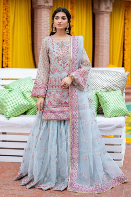 ANMOL - NEW NAMAL PRET