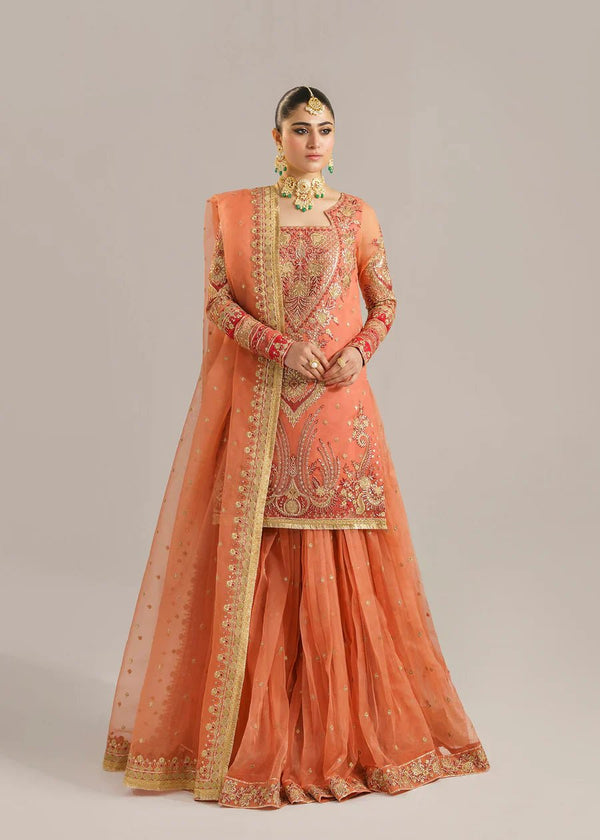 Begum Bano - NEW NAMAL PRET