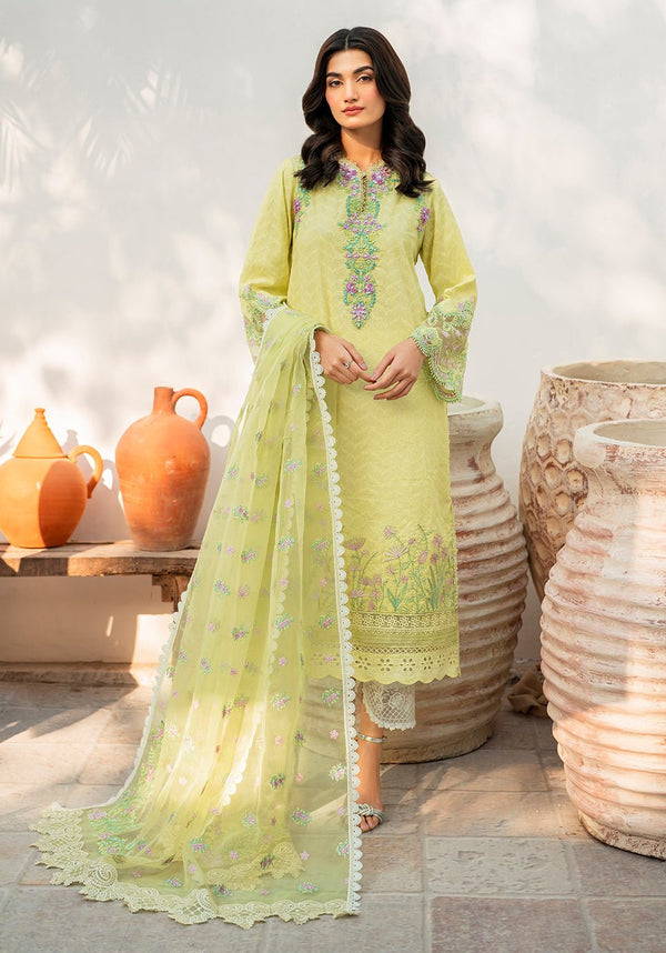 BL 001 Ziana - NEW NAMAL PRET