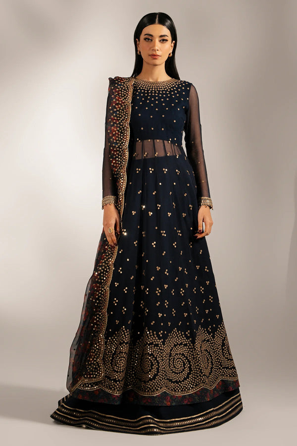 EMBROIDERED CHIFFON UC - 3073 - NEW NAMAL PRET