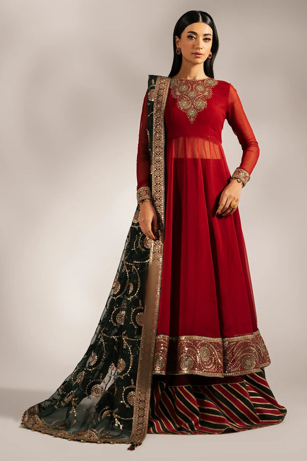 EMBROIDERED CHIFFON UC - 3074 - NEW NAMAL PRET