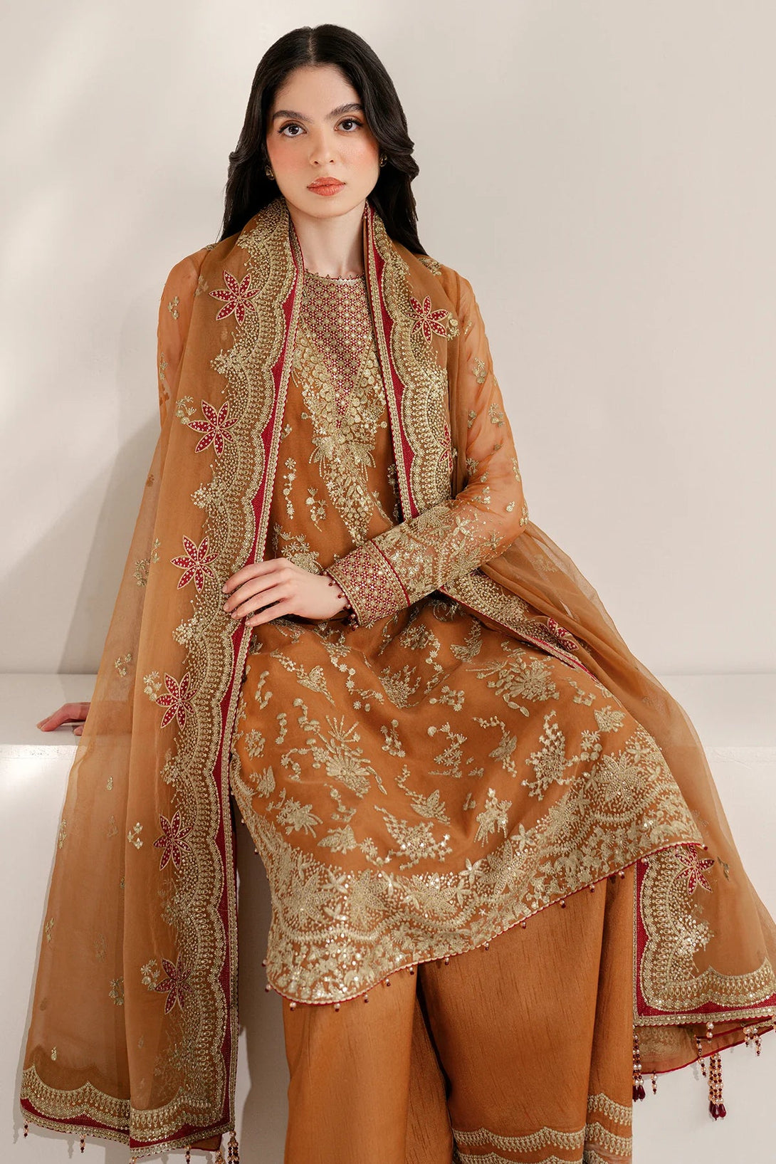 EMBROIDERED CHIFFON UC - 3077 - NEW NAMAL PRET