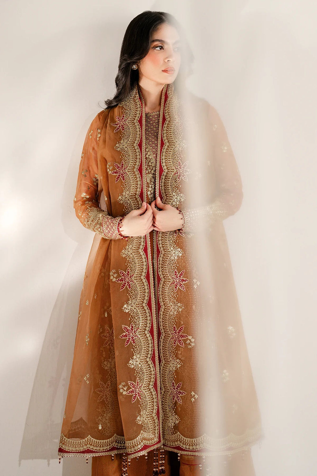 EMBROIDERED CHIFFON UC - 3077 - NEW NAMAL PRET