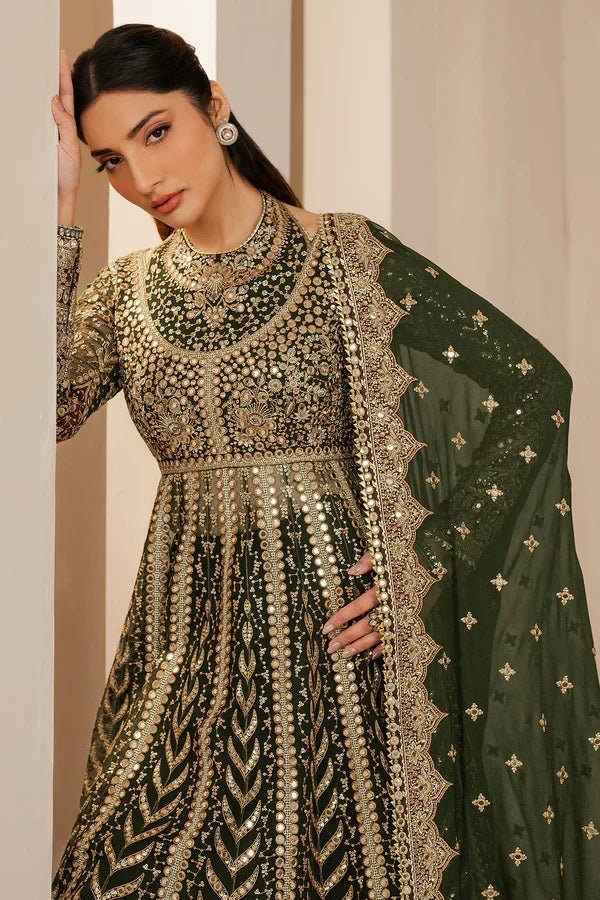 EMBROIDERED CHIFFON WF'25 - 02 - NEW NAMAL PRET