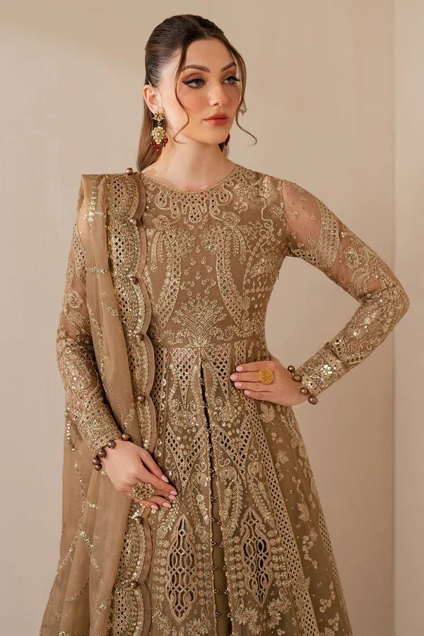 EMBROIDERED CHIFFON WF'25 - 04 - NEW NAMAL PRET