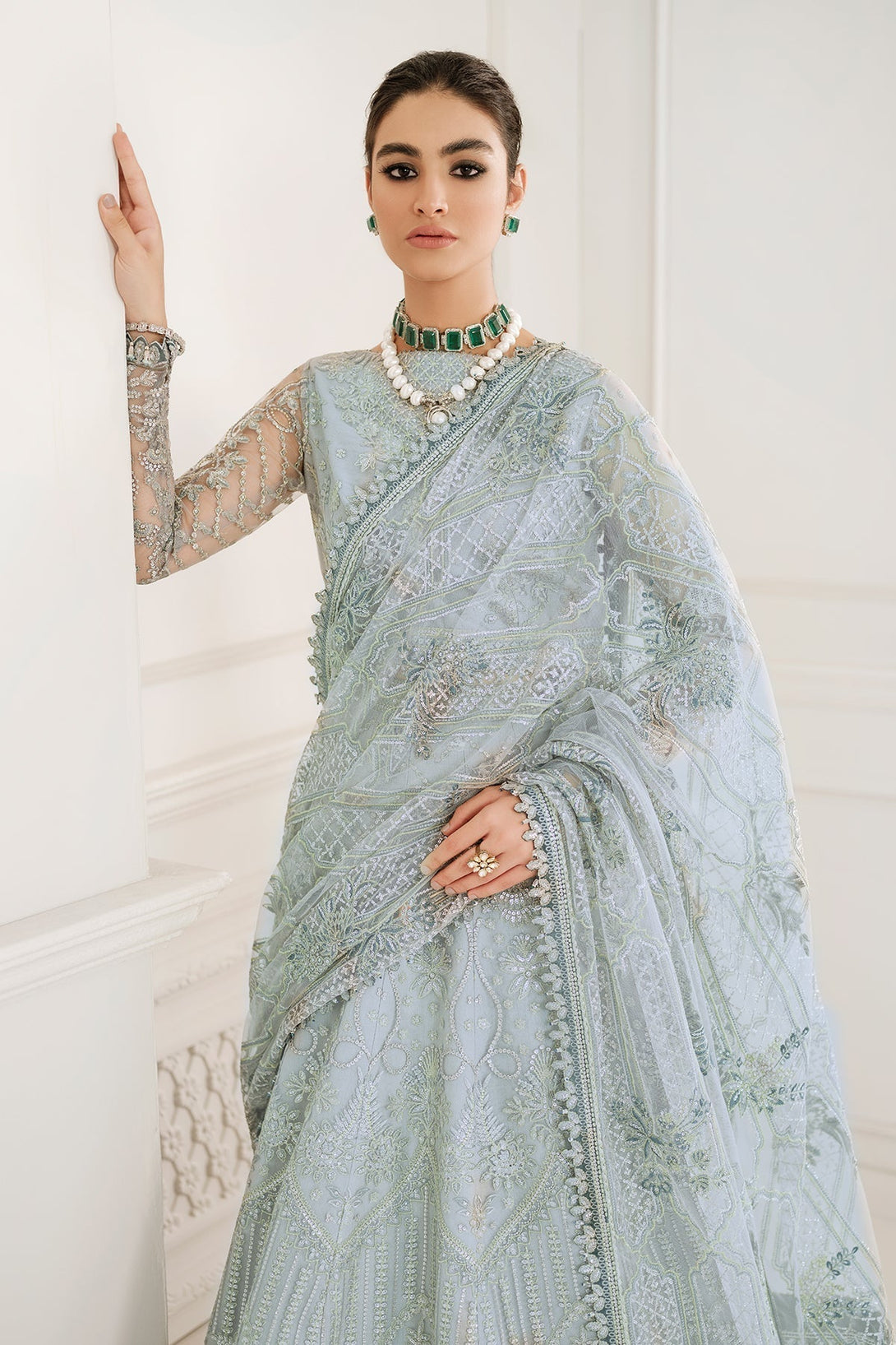 EMBROIDERED NET CH10 - 05 - NEW NAMAL PRET