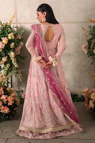 Maisha - NEW NAMAL PRET