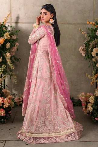 Maisha - NEW NAMAL PRET