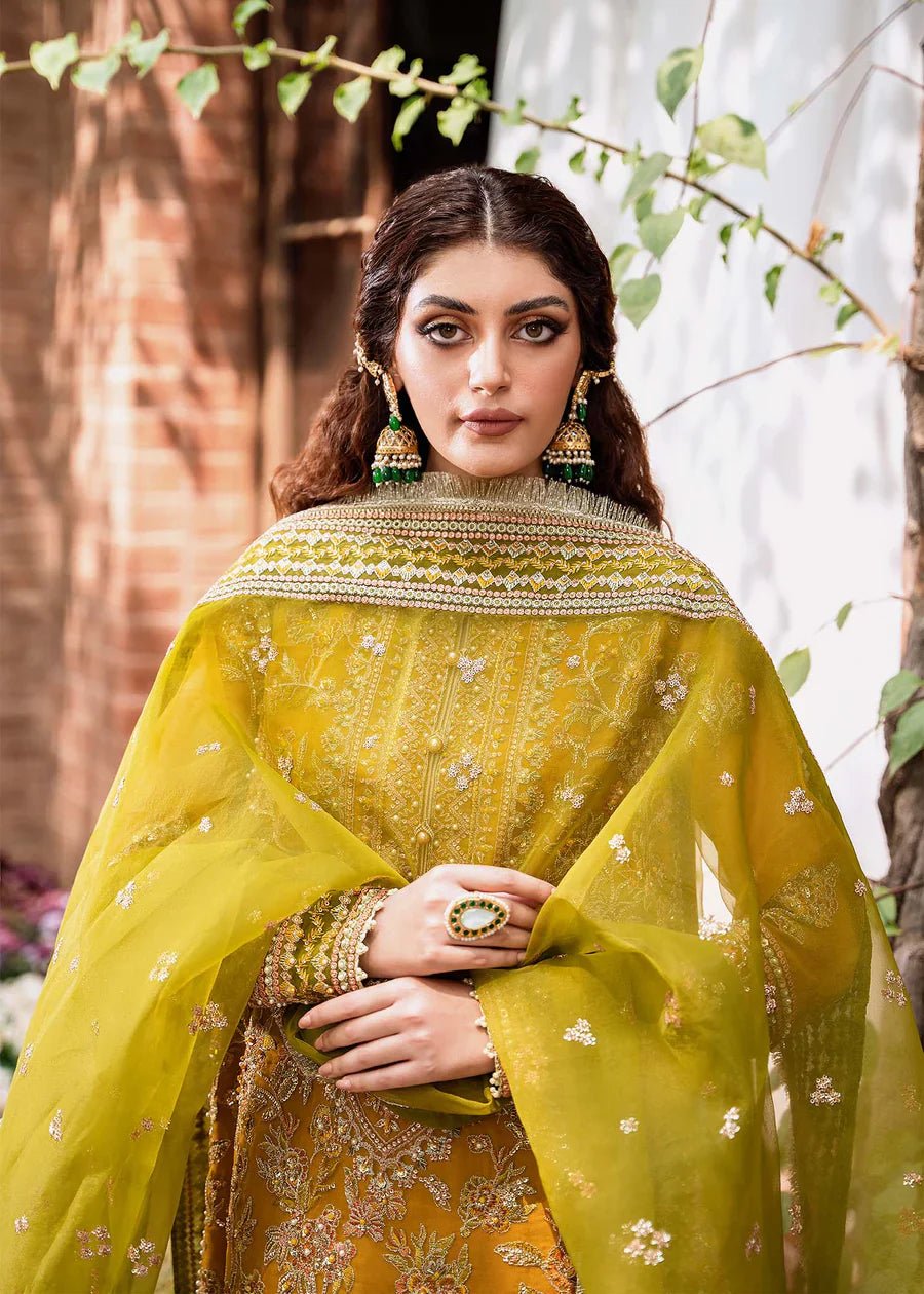 Rohi - NEW NAMAL PRET