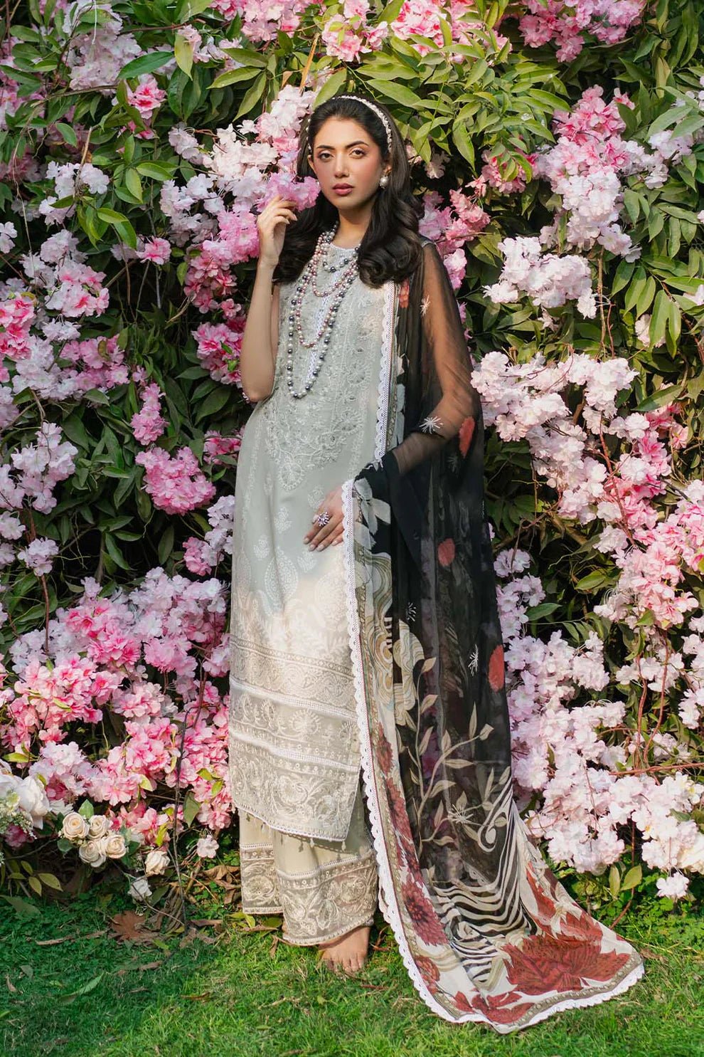 SHAFAQ - NEW NAMAL PRET