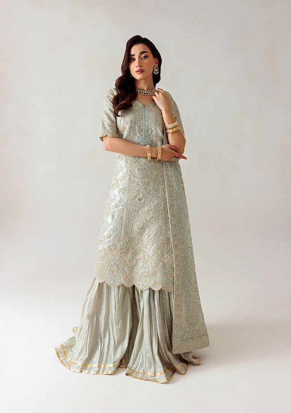 Unstitched '25 Vol. 1 - Look 03 - Namal Pret