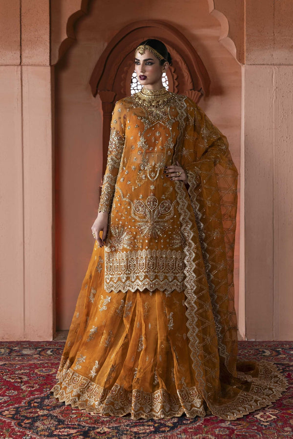 Zareen - 1 - Namal Pret